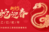 辭舊迎新，蛇舞華章丨深圳容金科技全體員工祝您新春快樂(lè)！